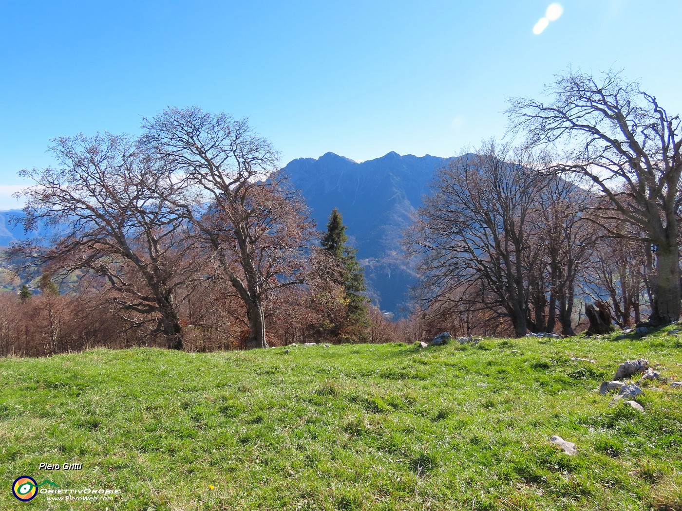 30 Faggi del Menna, Alben.JPG